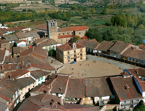82009