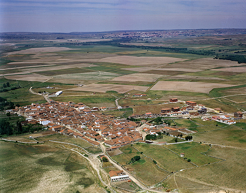 316649