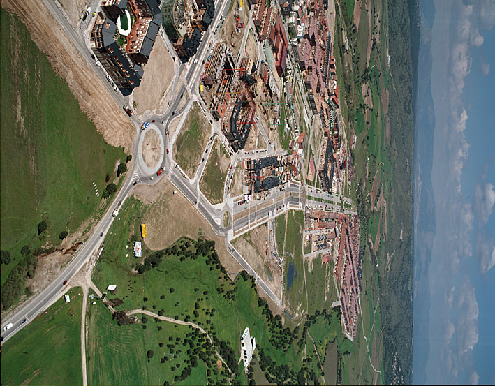 976561