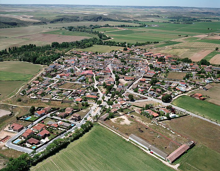 982481