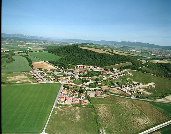 982697