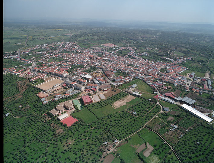 1084647